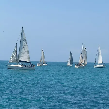 Dudek - Torrevieja